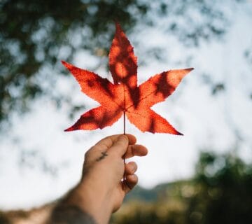 Refugee and asylum support in Canada